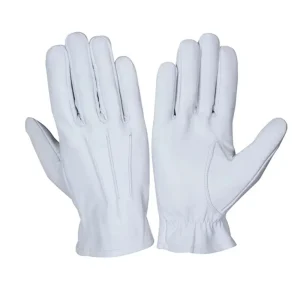Fashion Gloves