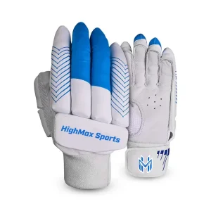 Cricket Gloves