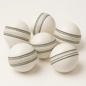 Cricket Hard Ball