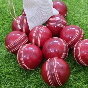 Cricket Hard Ball